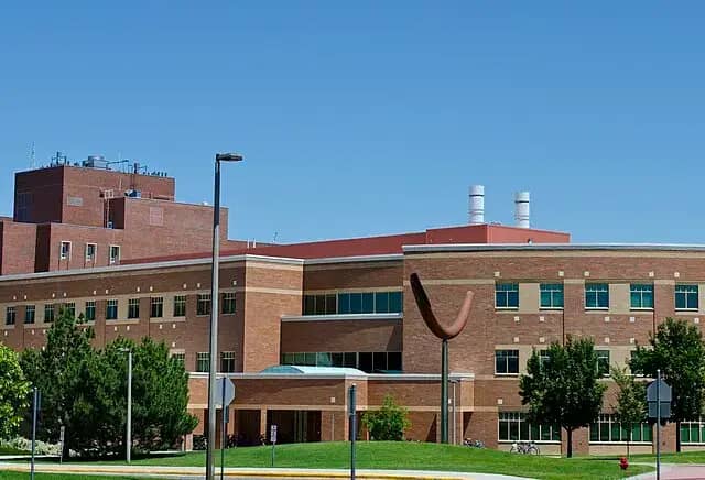 Montana State University campus