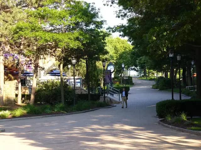 University of Scranton campus