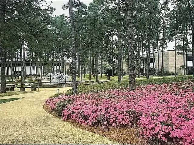 University of South Carolina Aiken campus